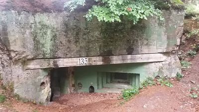 Offene Führung: Der Westwall in der Schlacht im Hürtgenwald am Beispiel der Bunkergruppe Buhlert!
